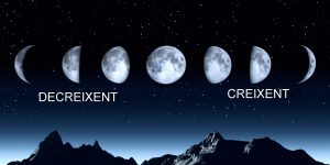 All phases of the moon on a clear dark sky